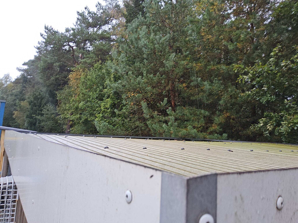 Fietsenstalling - Foto 3