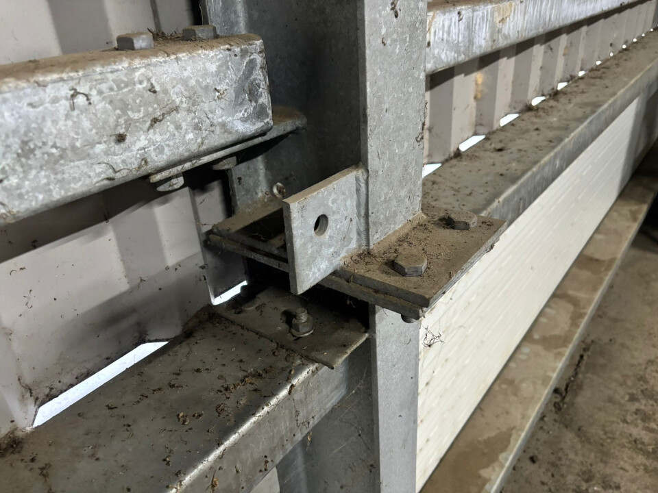 Loods Kapschuur Overkapping Werkplaats - Foto 14