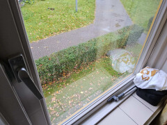 Houten buitenkozijnen - medio januari beschikbaar - Foto 4