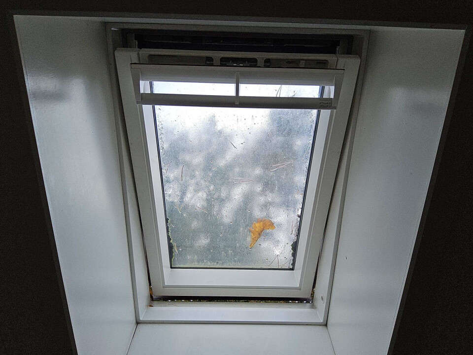 Velux dakvensters - medio januari beschikbaar