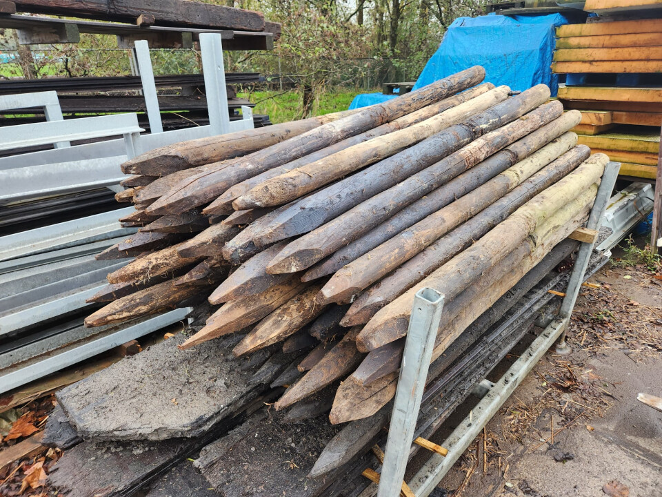 Gecreosoteerde (weide)palen - Foto 5