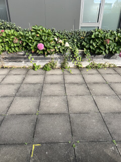 Draintegel beton grijs - Foto 2