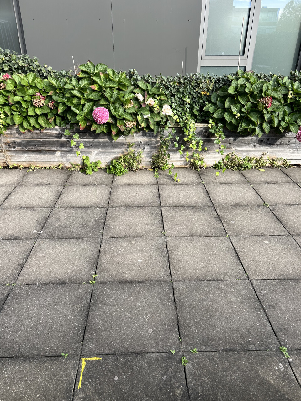 Draintegel beton grijs - Foto 2