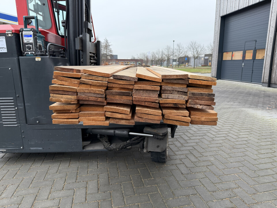 Siberisch Lariks Board r3