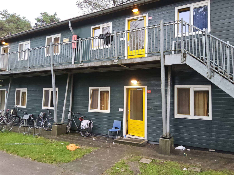 Gegalvaniseerde galerij-loopbrug - medio januari beschikbaar - Foto 5