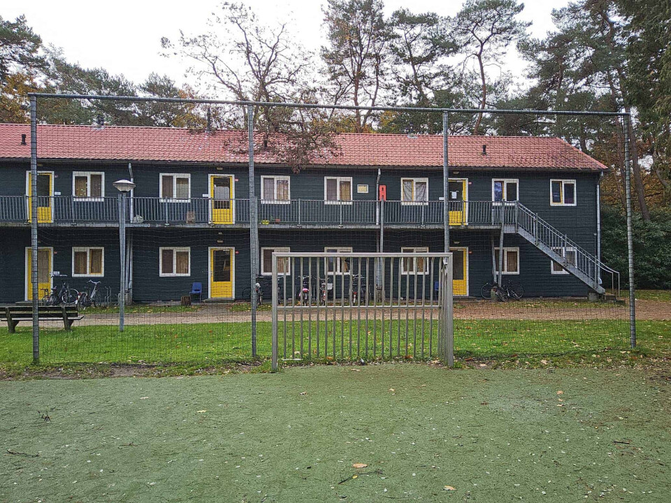 Ballenvanger compleet - medio januari beschikbaar - Foto 1