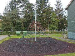 Klimpiramide - medio januari beschikbaar - Foto 1