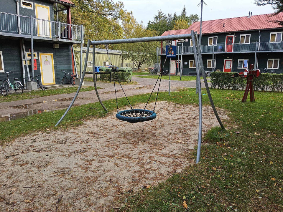 Schommel met vogelnest - medio januari beschikbaar - Foto 1