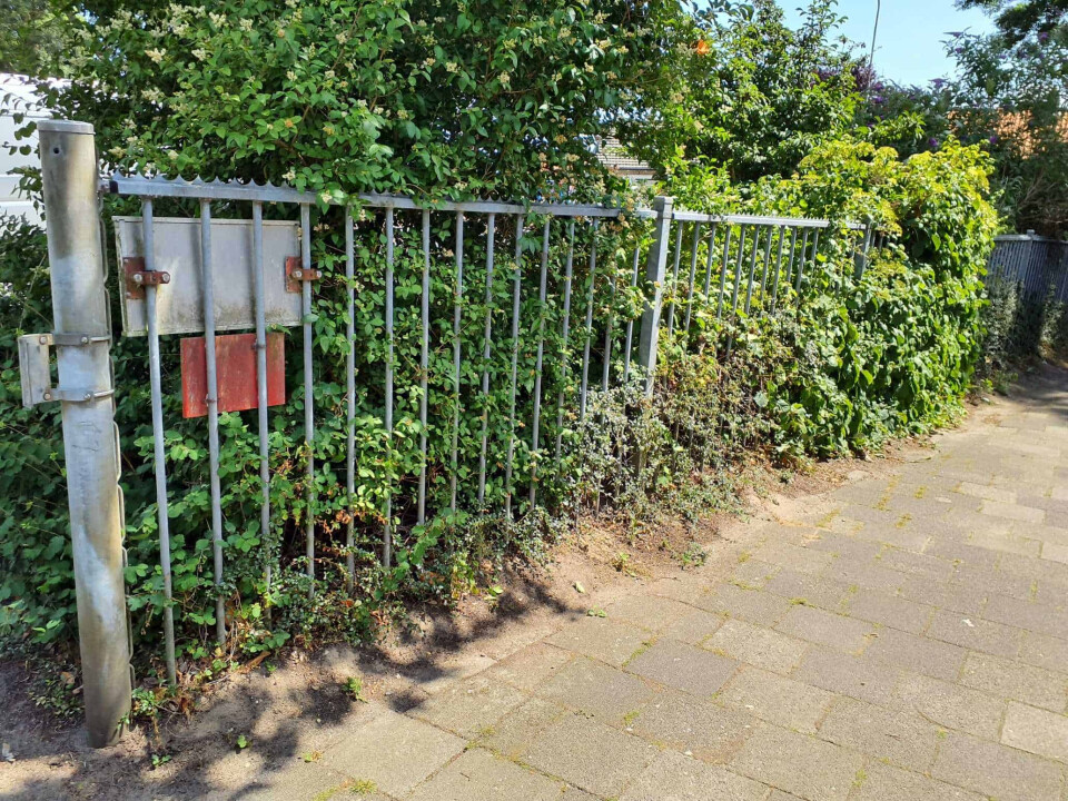 Hekwerk - beschikbaar december/januari! - Foto 1