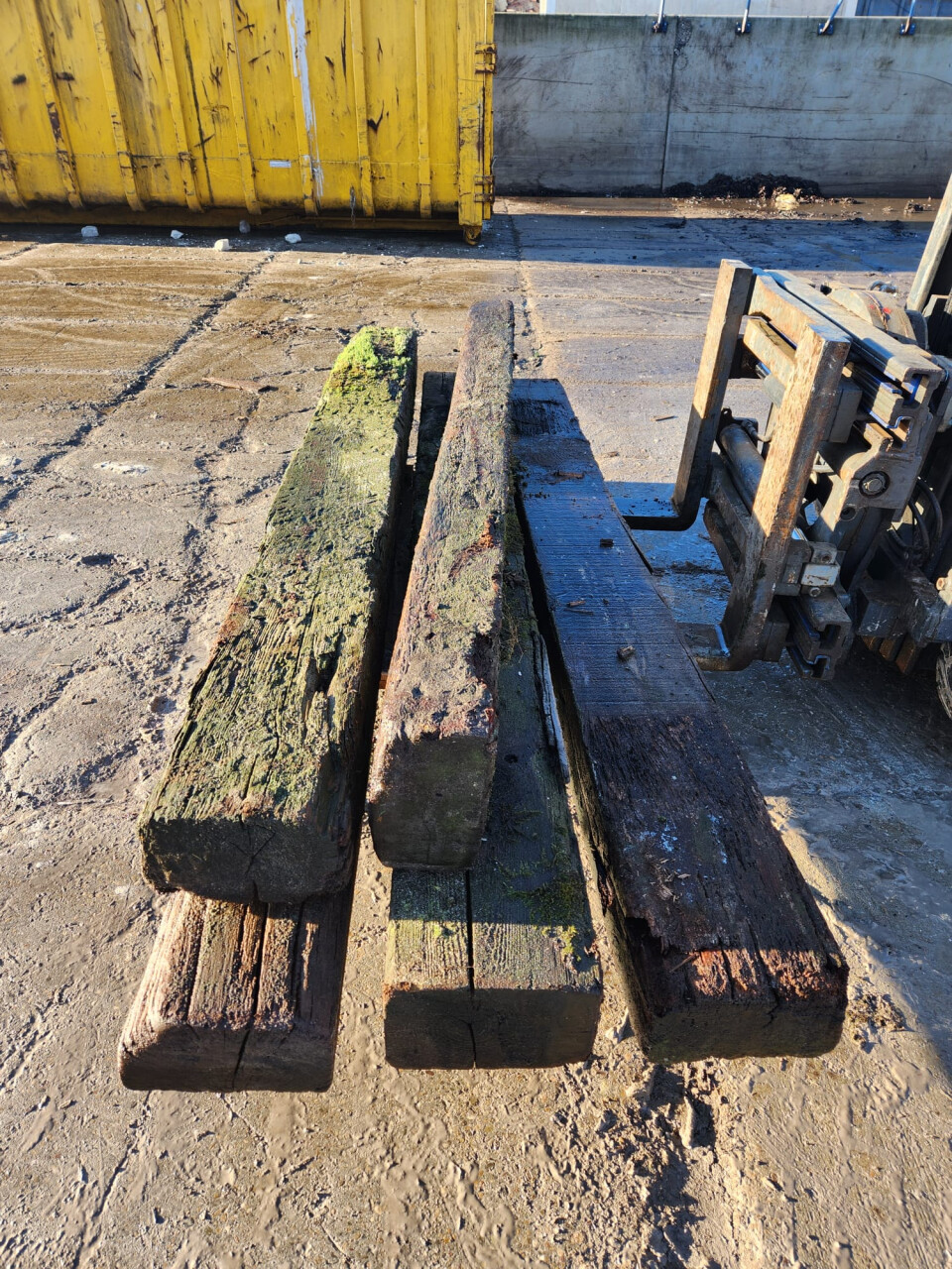 Hardhouten bielzen - Foto 1