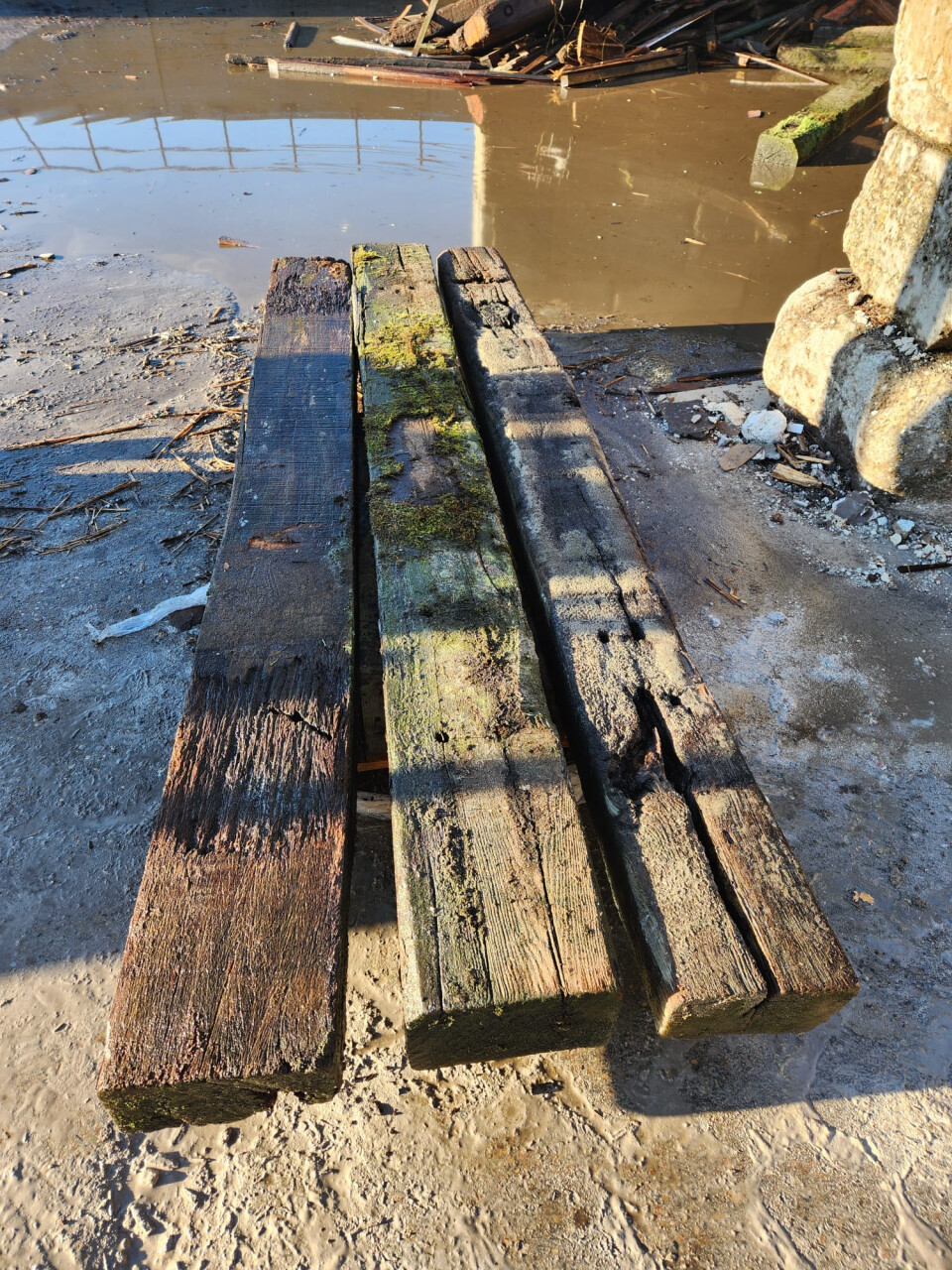 Hardhouten bielzen - Foto 3