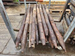 Gecreosoteerde (weide)palen - Foto 5