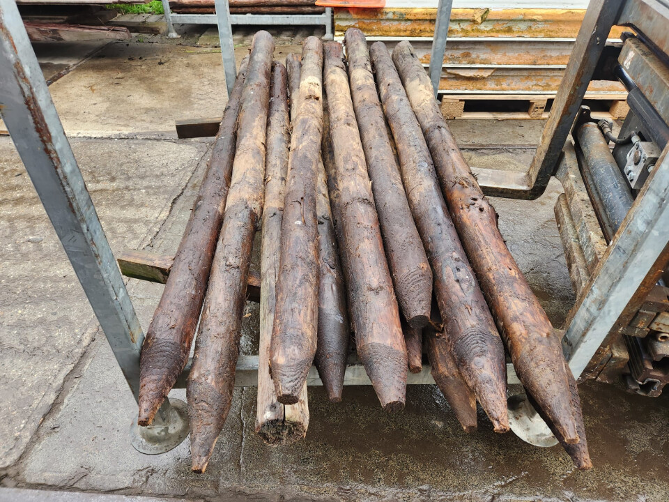 Gecreosoteerde (weide)palen - Foto 5