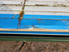 Geïsoleerde dakpanelen - Foto 11