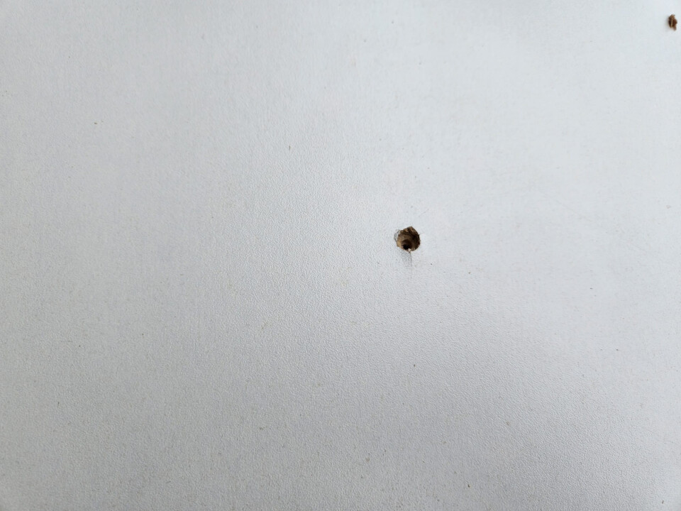 Geplastificeerd spaanplaat met structuur - Foto 4