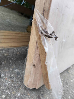 Houten binnendeur - Foto 11