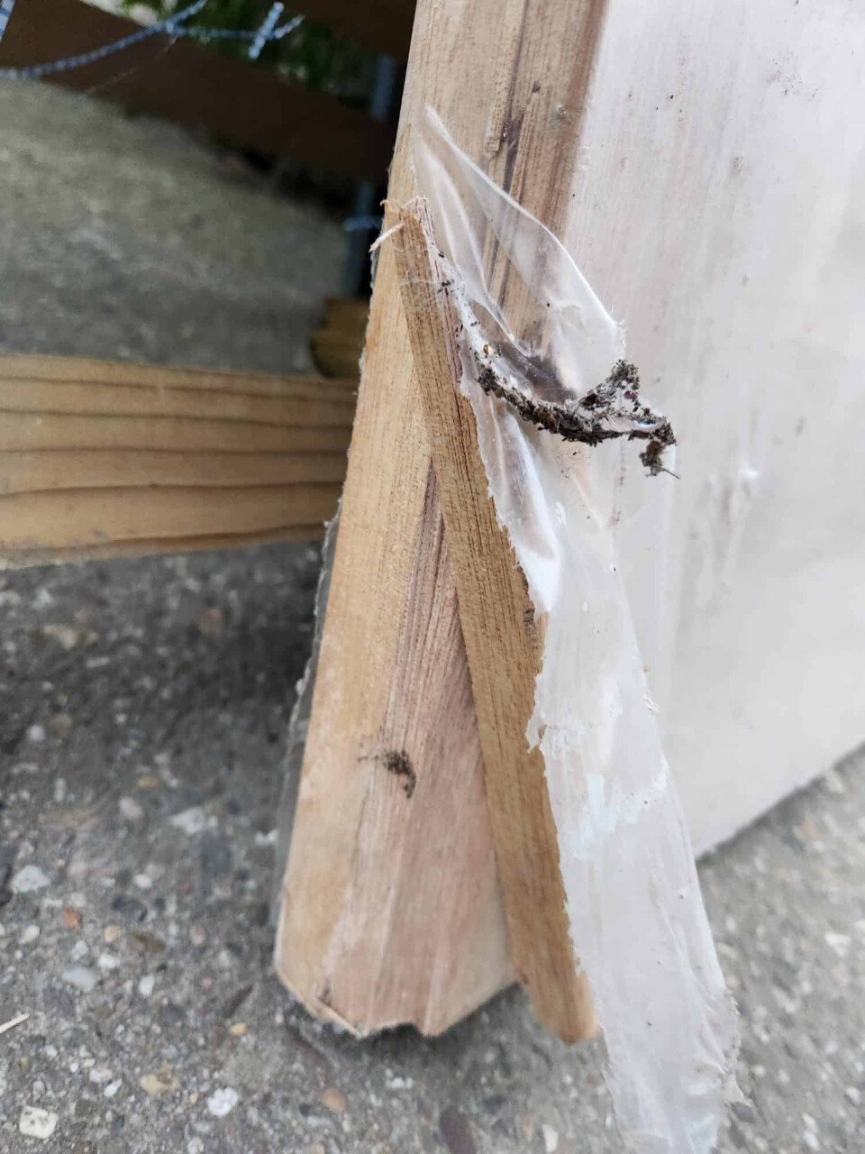 Houten binnendeur - Foto 11