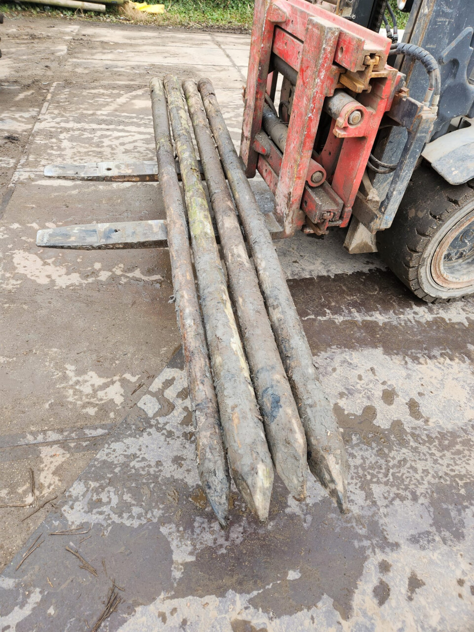 Gecreosoteerde (weide)palen - Foto 7