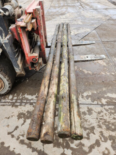 Gecreosoteerde (weide)palen - Foto 8