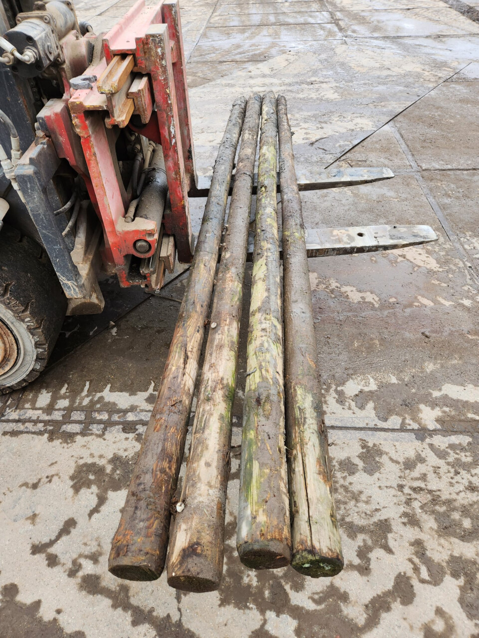 Gecreosoteerde (weide)palen - Foto 8