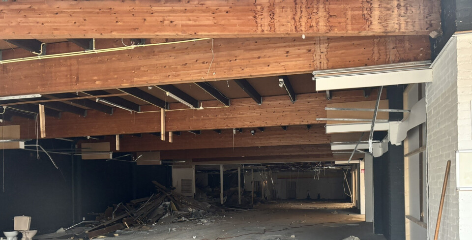 5 stuks gelamineerde houten spanten 110x625x10600 mm - Foto 2