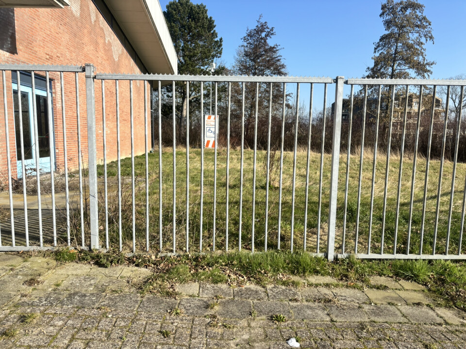 Gegalvaniseerd stalen hekwerk / spijlenhek – ca. 190 cm hoog - Foto 1