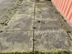 68x betonnen Agriplaten / Erfverhardingsplaten van 120x80 cm - Foto 1