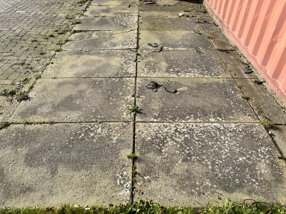 68x betonnen Agriplaten / Erfverhardingsplaten van 120x80 cm - Foto 1