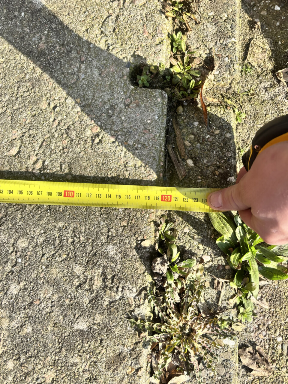 68x betonnen Agriplaten / Erfverhardingsplaten van 120x80 cm - Foto 2