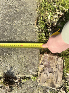 68x betonnen Agriplaten / Erfverhardingsplaten van 120x80 cm - Foto 3