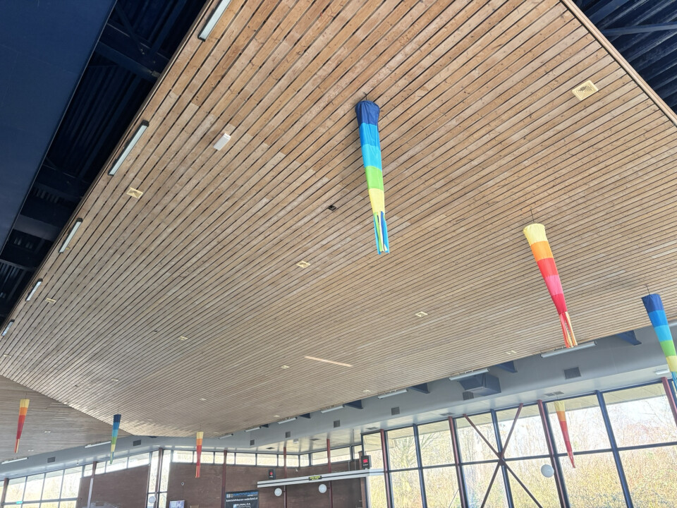 750 m² vuren geschaafde planken 22x100 mm (18x95 mm) - Foto 3