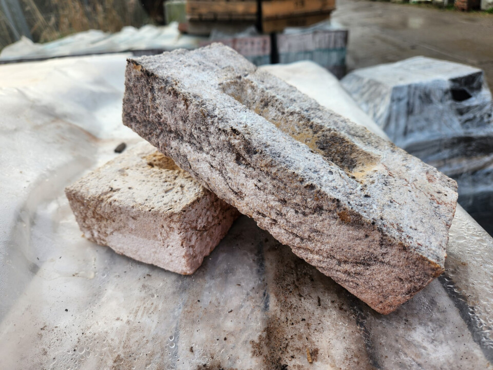 Gevelstenen Nelissen - Foto 2