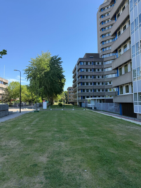 EPO Patentlaan