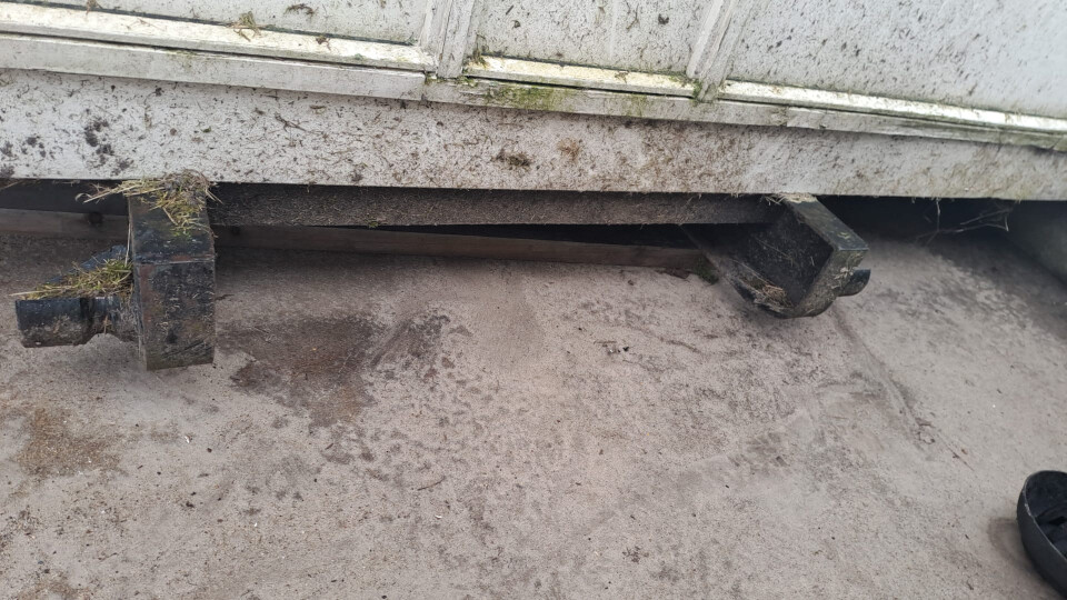 Zeer ruime toiletunit / sanitaire unit - Foto 11