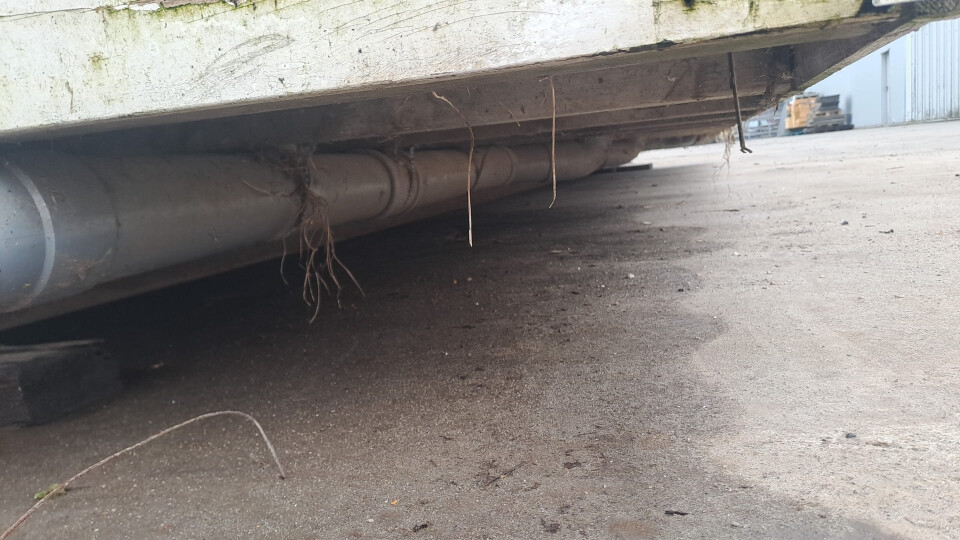 Zeer ruime toiletunit / sanitaire unit - Foto 3