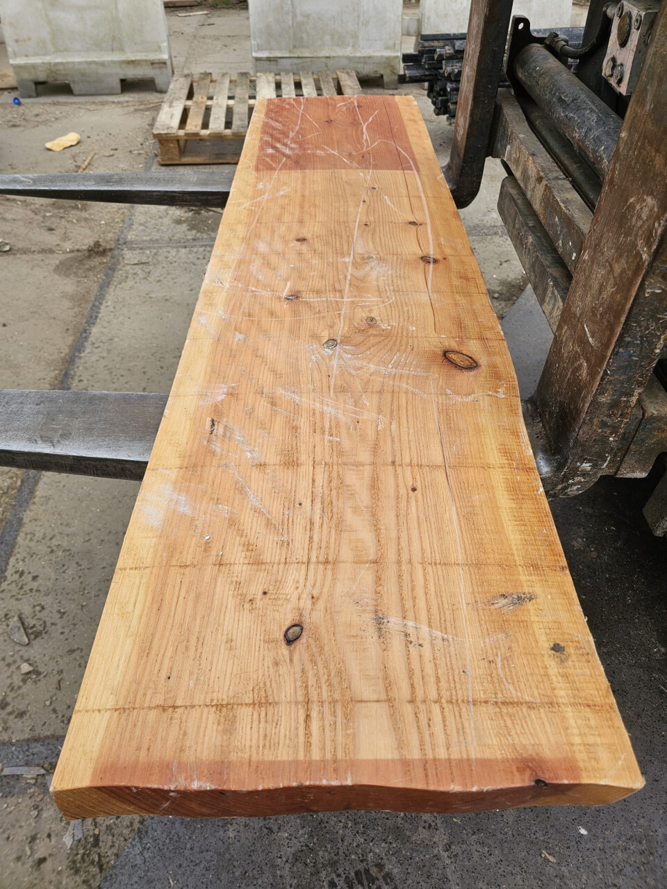 Massief houten boomstamblad - Foto 4