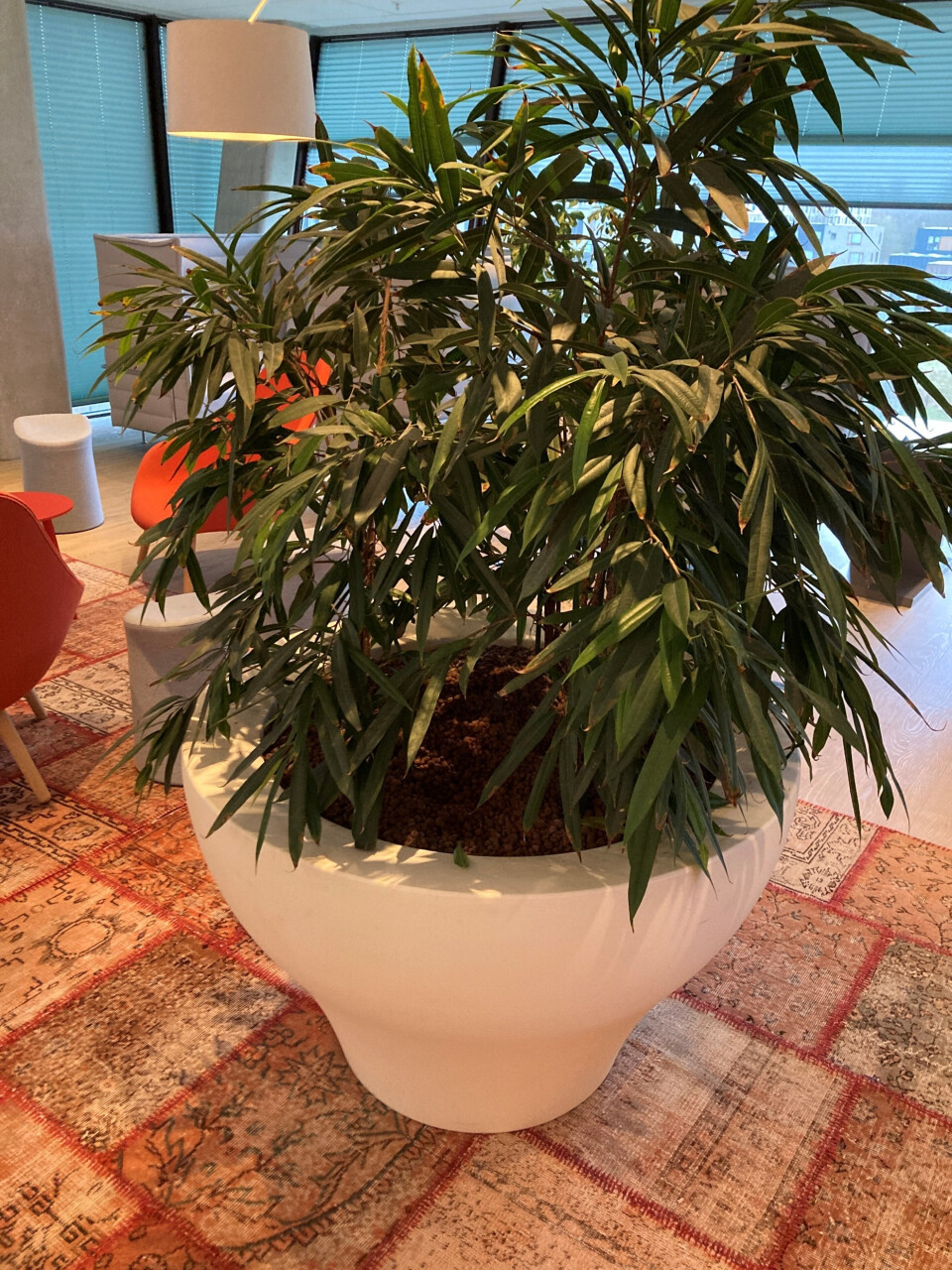 Plantenbak leeg