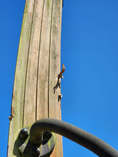 Activity toestellen - Foto 12