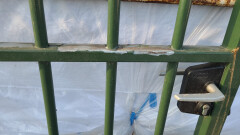 Groen gecoat hekwerk met poort - Foto 8