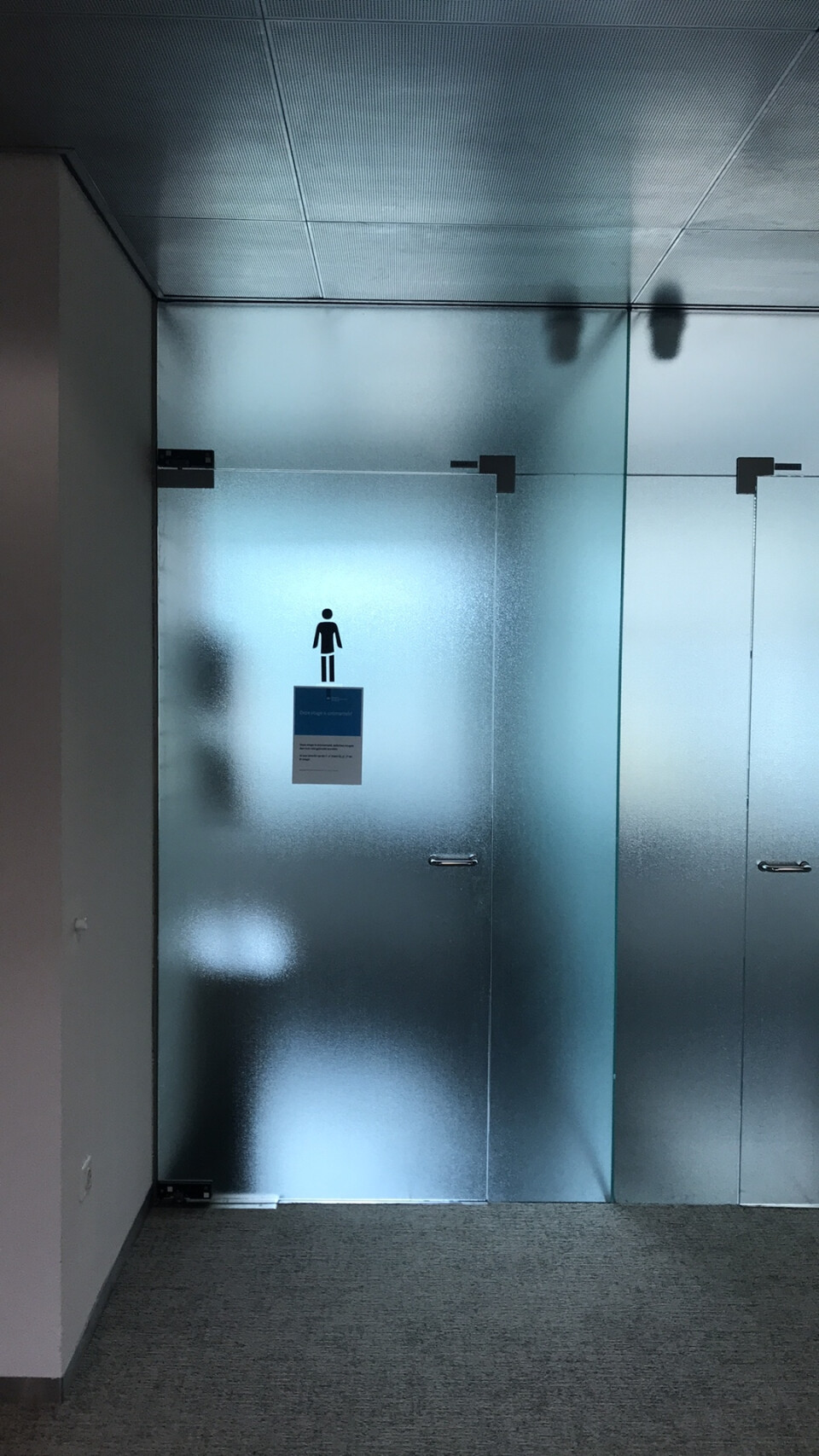 Glazen toiletdeur - Foto 2