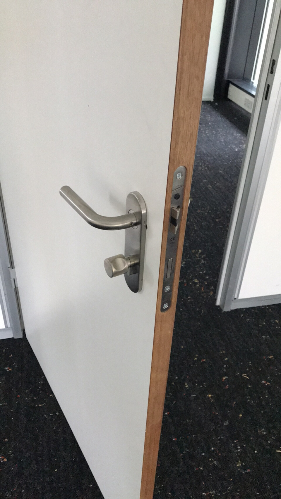 Plaatstalen HPL deuren en kozijnen - Foto 6