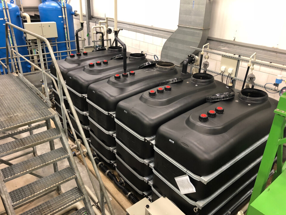 Dehoust PE-DF 4000 opslag- / watertanks - Foto 2