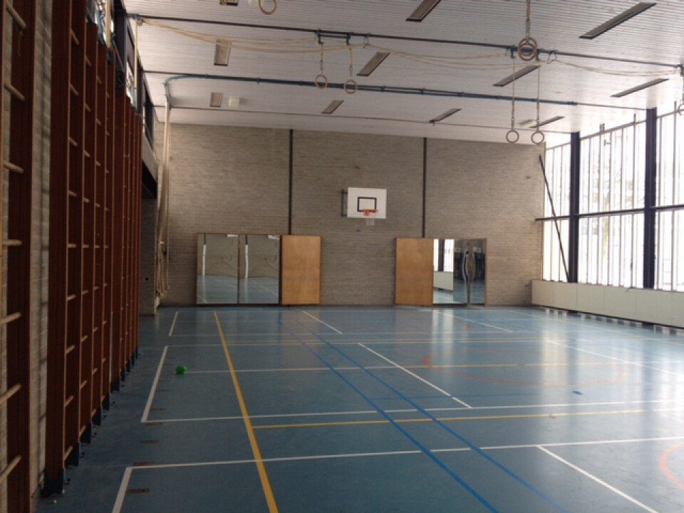 Spiegel (vouw) wand circa16m2