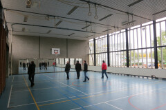 Spiegel (vouw) wand circa16m2 - Foto 2