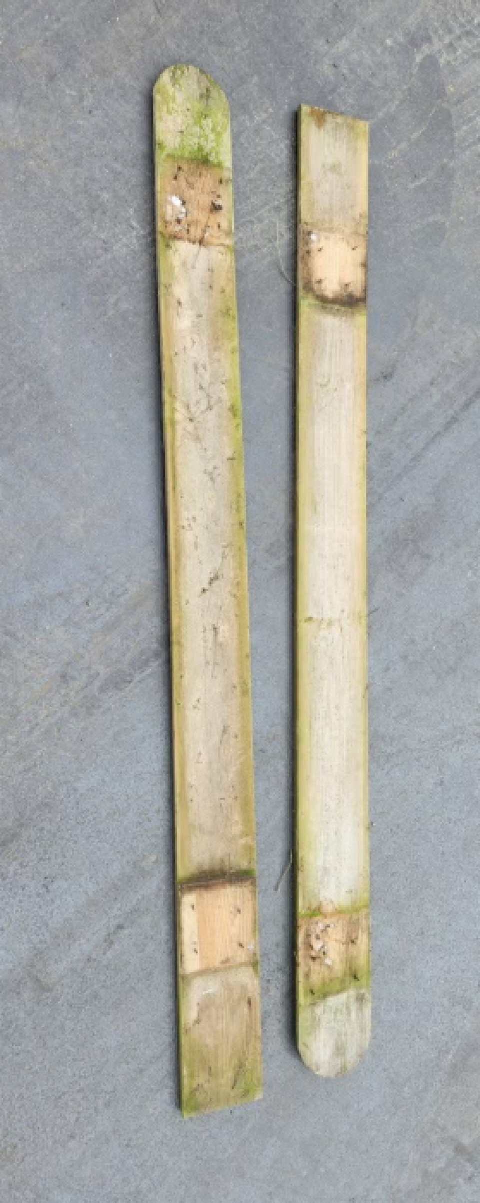 Gebruikte schuttingplanken - Foto 2