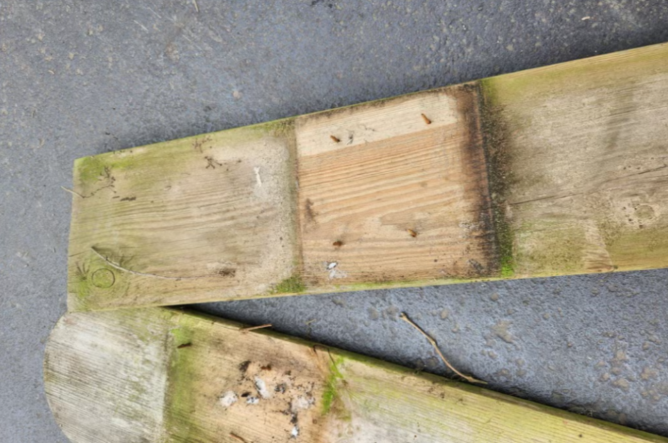 Gebruikte schuttingplanken - Foto 4