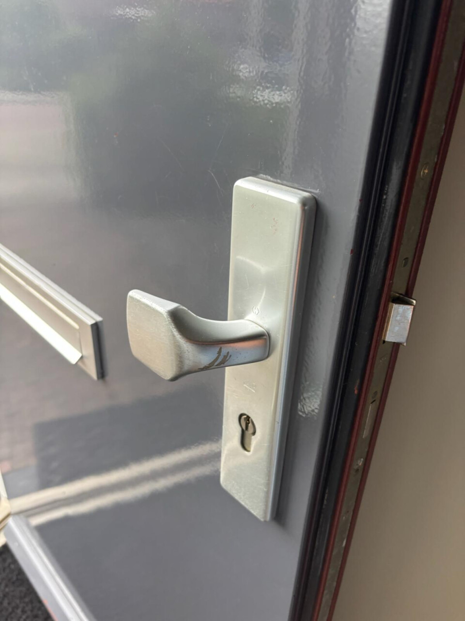 Houten voor- en achterdeuren - Foto 10