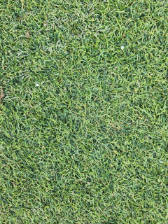 Rol kunstgras - Foto 2