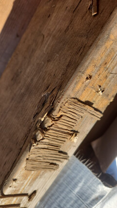 Partij gebruikte balken met iets werk - Foto 7