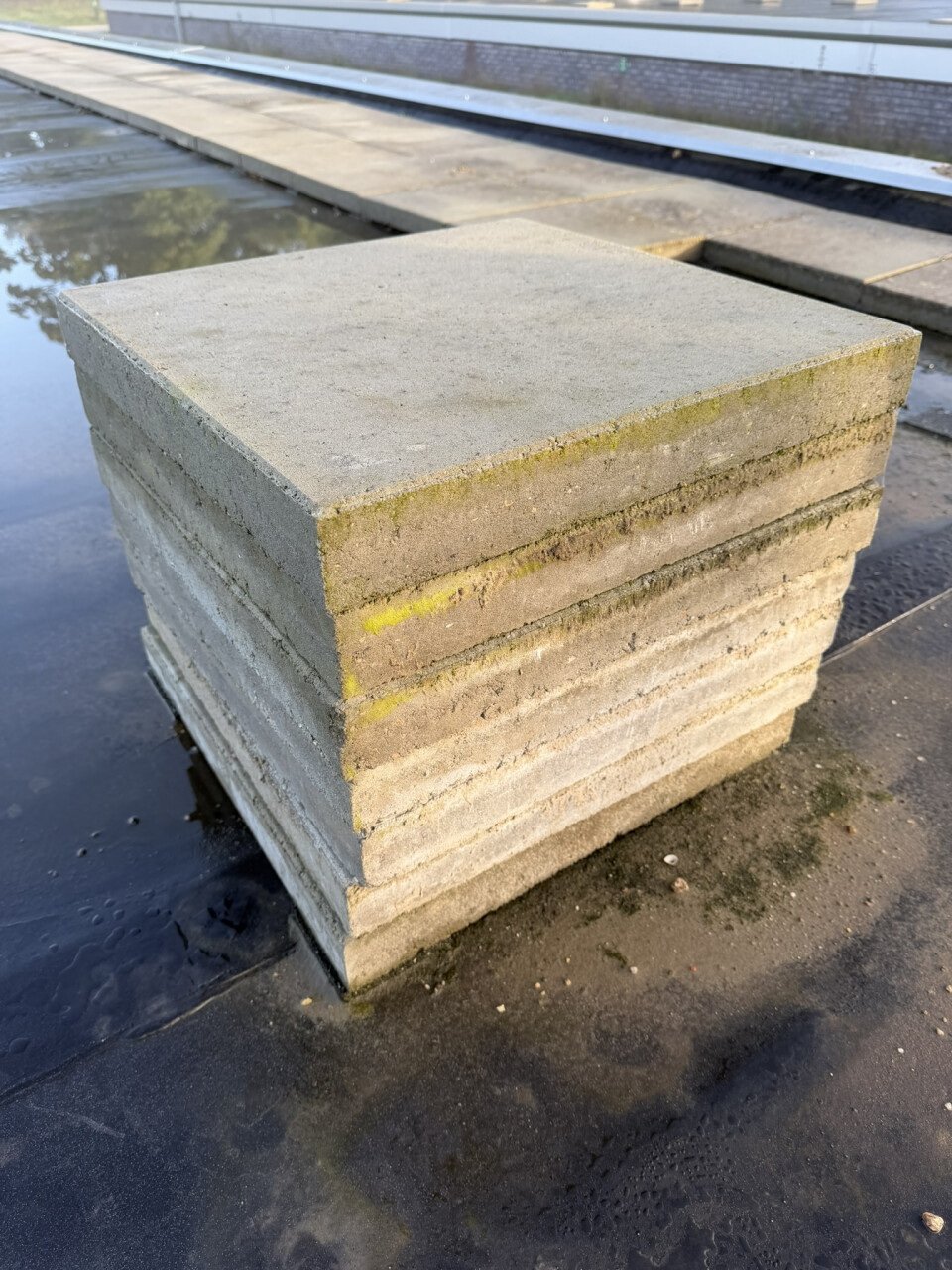500+ m² grijze betontegels 50x50 cm en 6 cm dik (terrastegels / tuintegels) - Foto 2